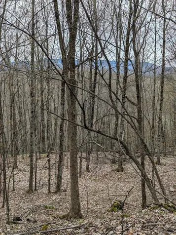 449 & 120 Dodd Road Fairfield VT 05448