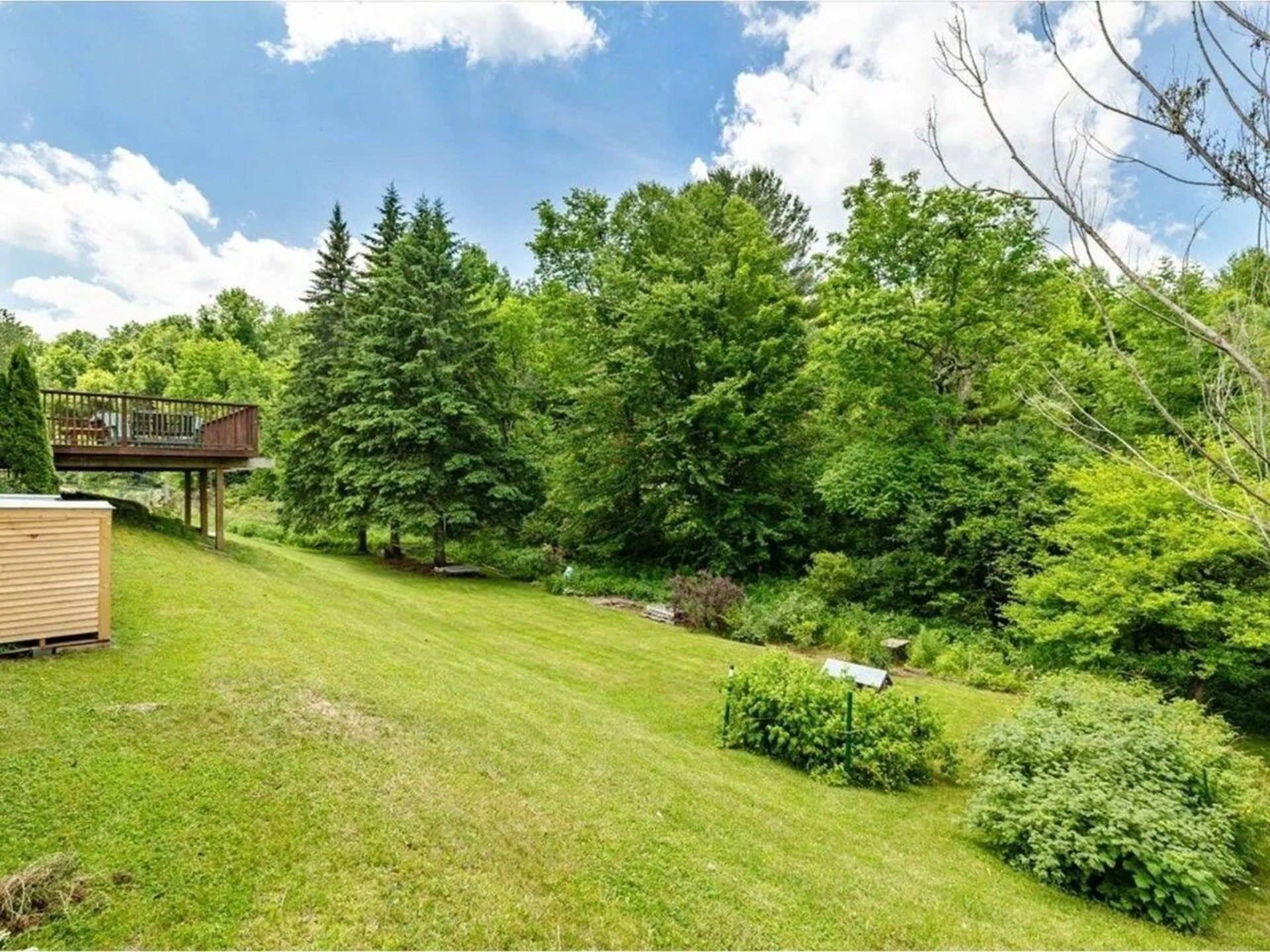224 Garden Street Williamstown VT 05679