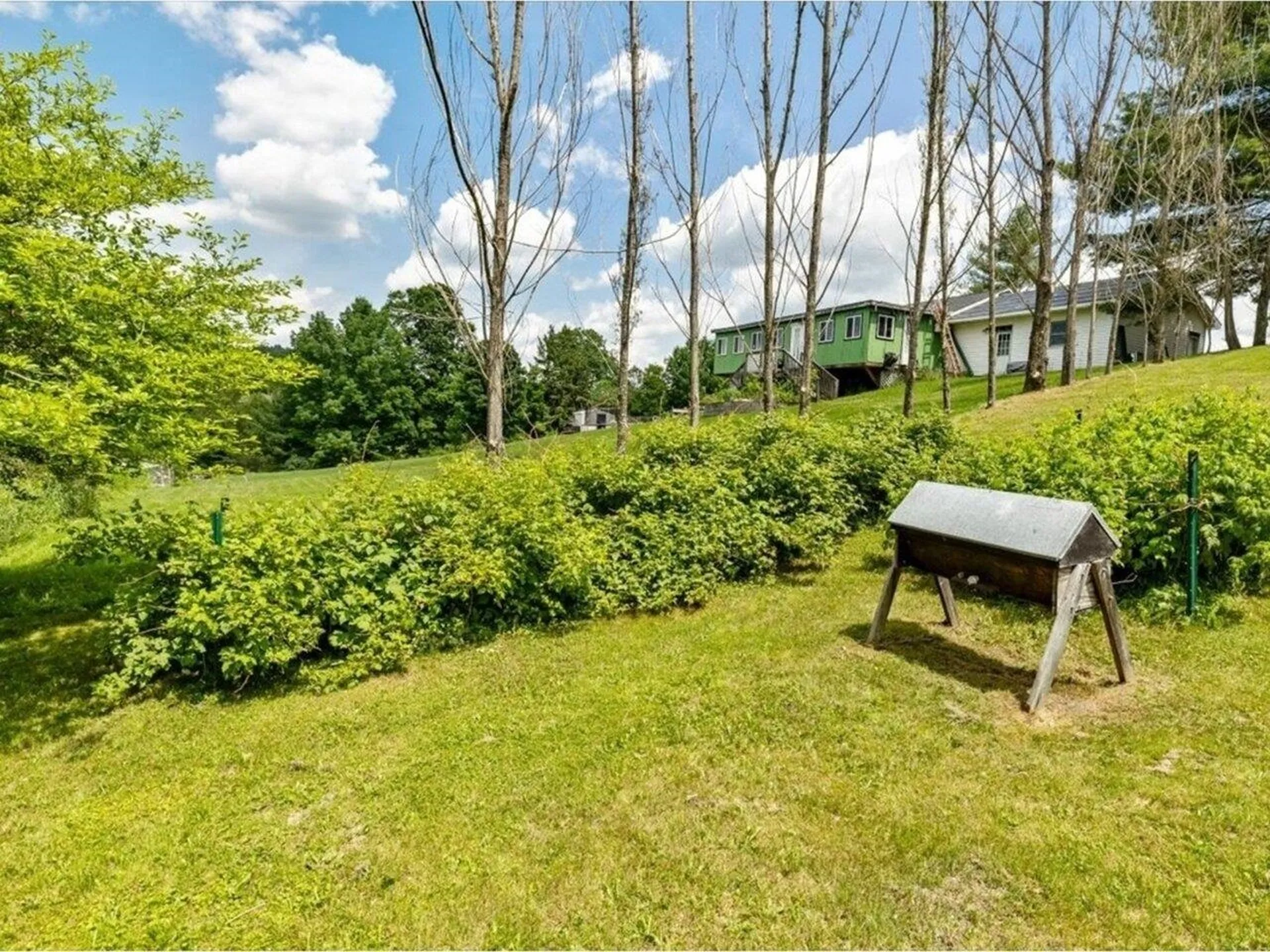 224 Garden Street Williamstown VT 05679