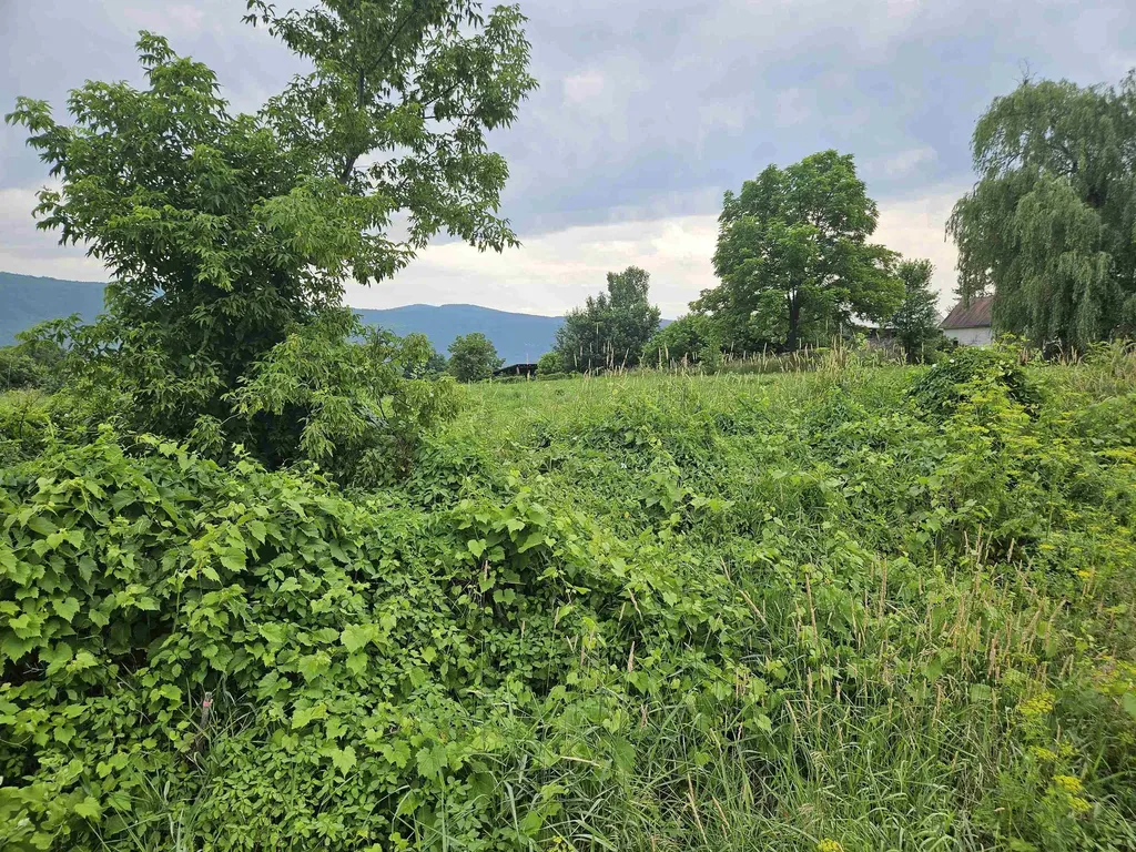 1726 Munger Street Middlebury VT 05753