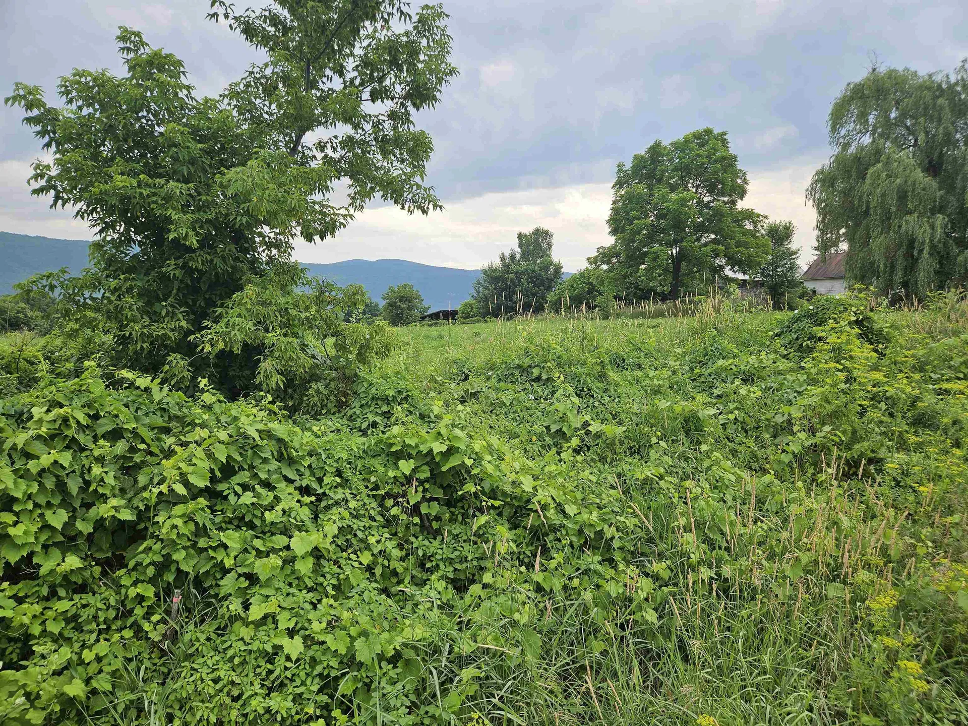 1726 Munger Street Middlebury VT 05753