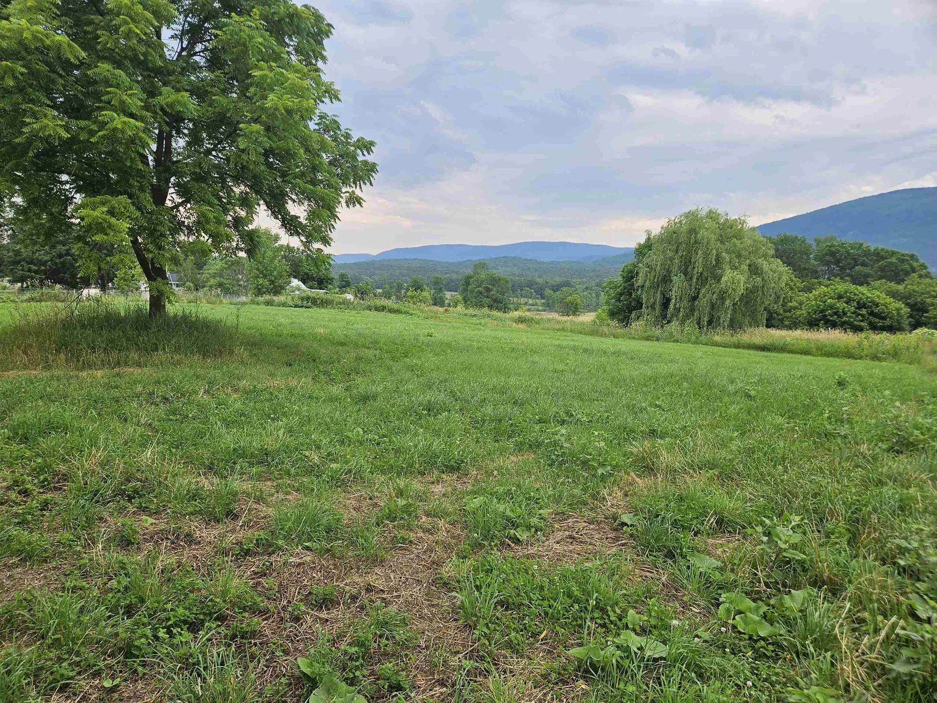 1726 Munger Street Middlebury VT 05753