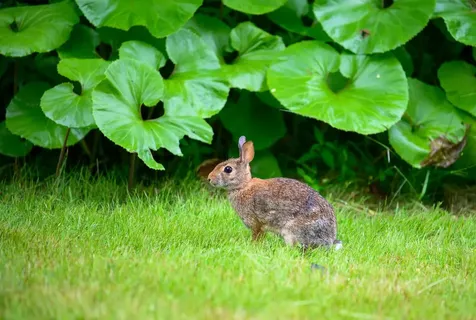 10 Riverdale Avenue Dover NH 03820