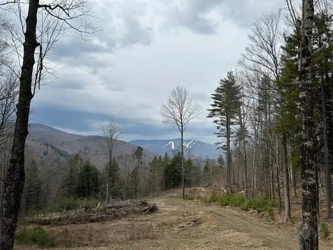 2179 Us Route 4 W Bridgewater VT 05034