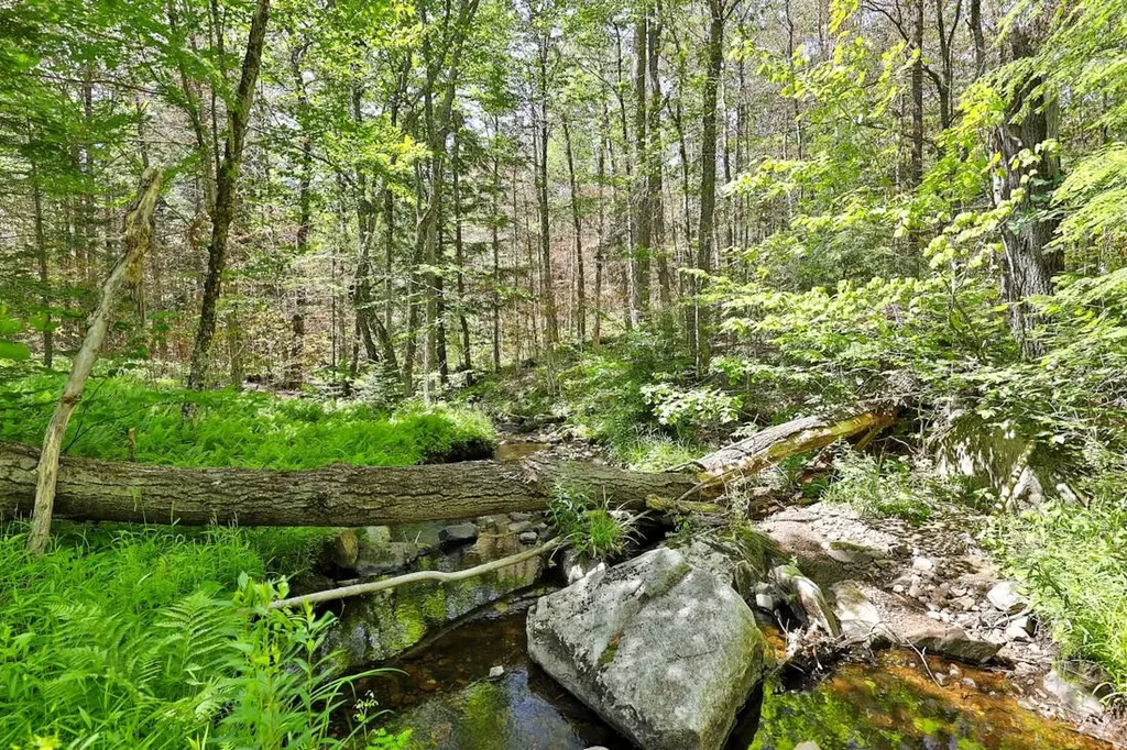 1749 Middletown Road Andover VT 05143