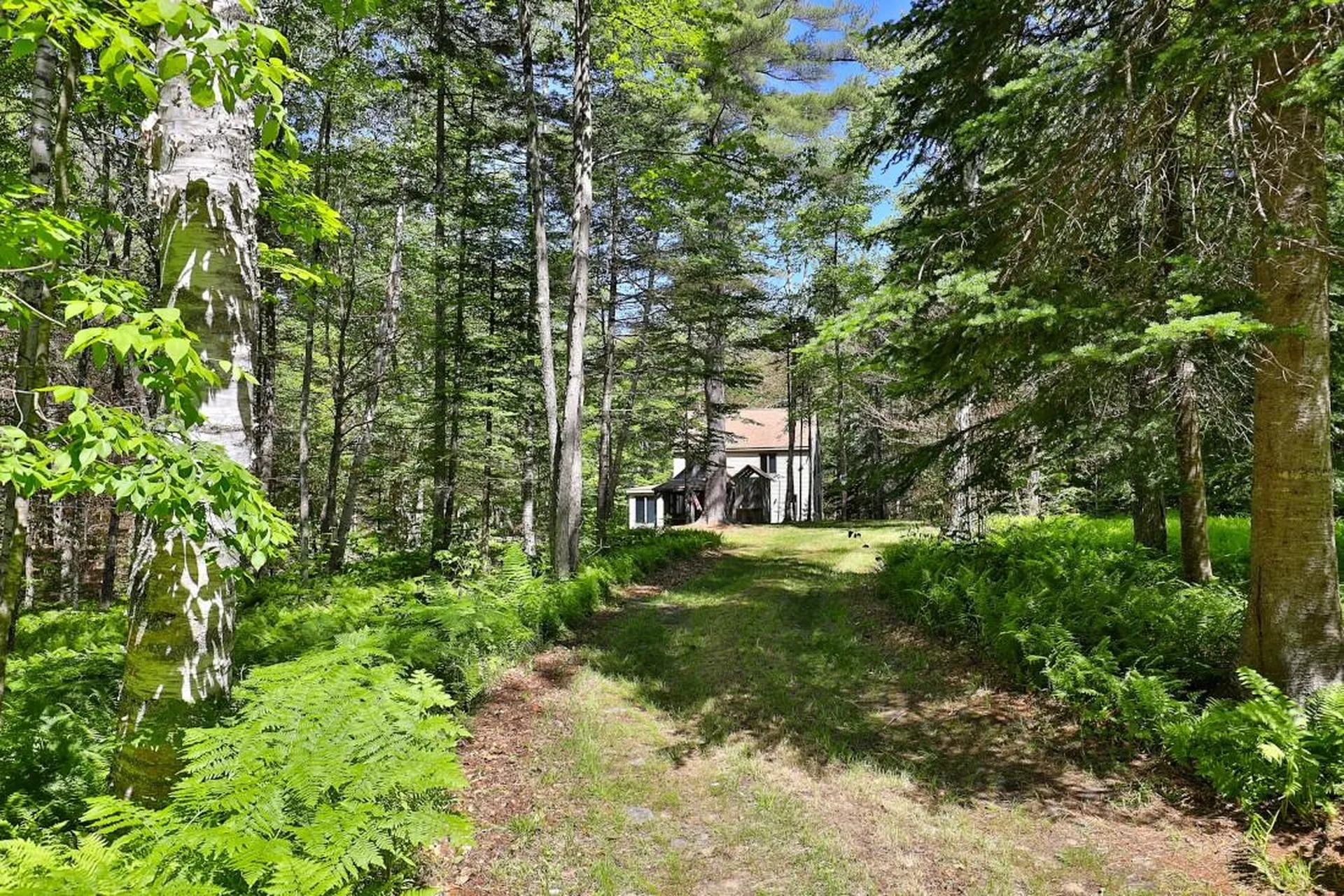 1749 Middletown Road Andover VT 05143