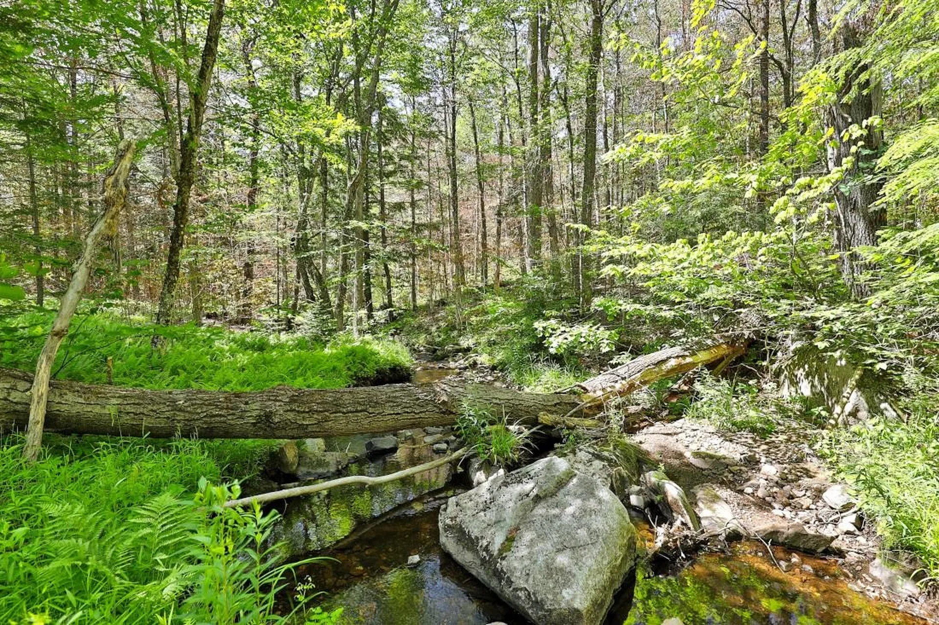 1749 Middletown Road Andover VT 05143