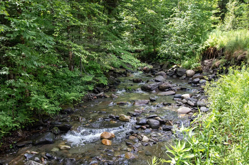 3737 Mcdowell Road Danville VT 05828
