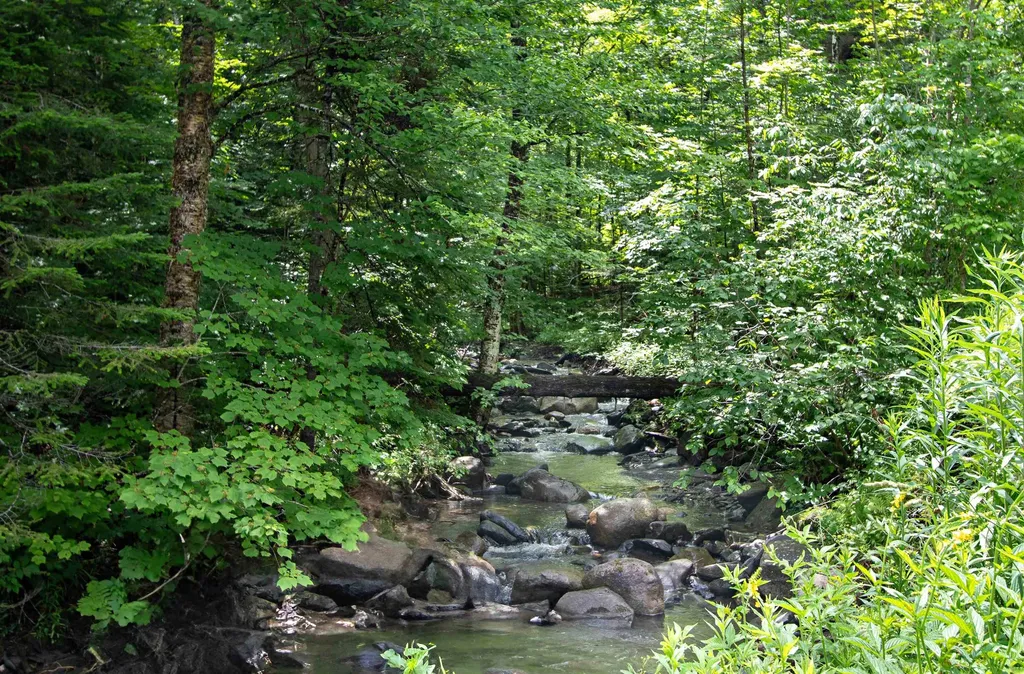 3737 Mcdowell Road Danville VT 05828