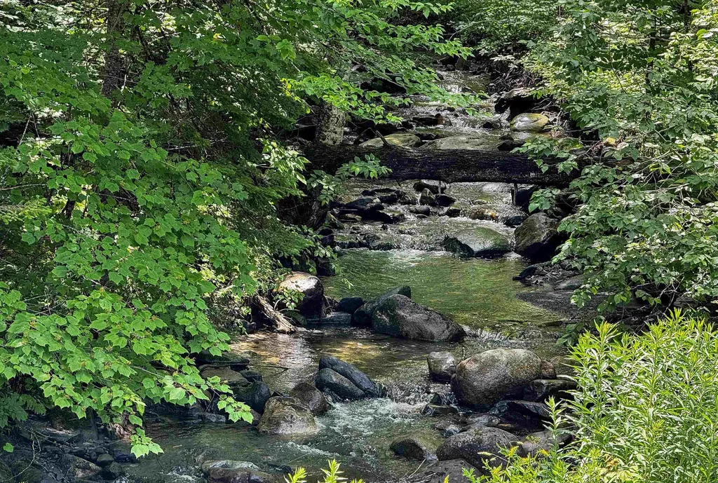 3737 Mcdowell Road Danville VT 05828