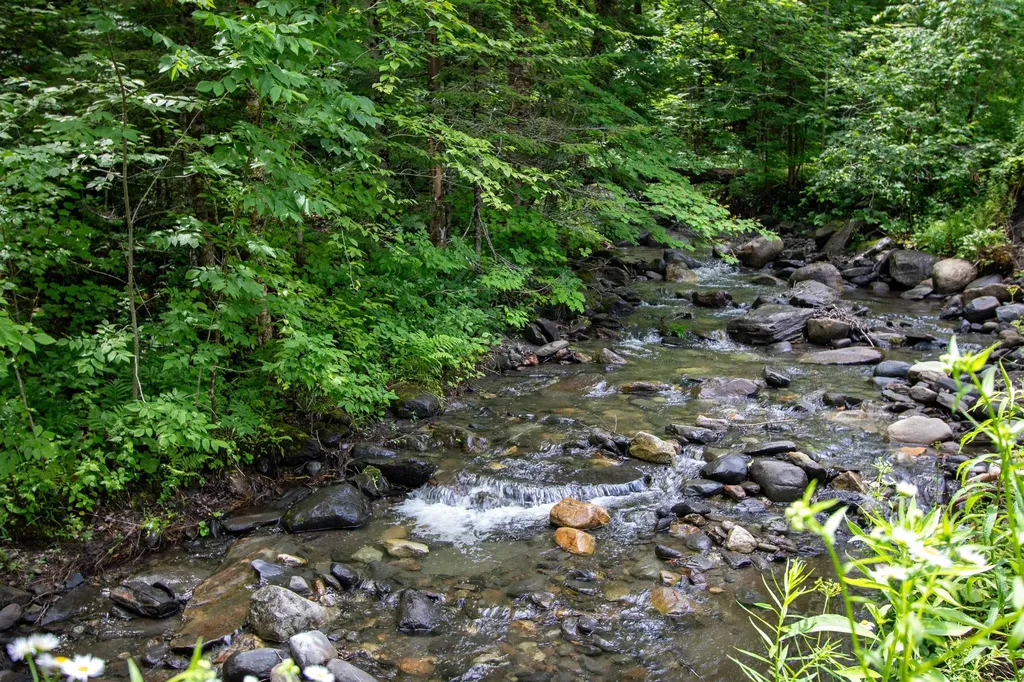 3737 Mcdowell Road Danville VT 05828