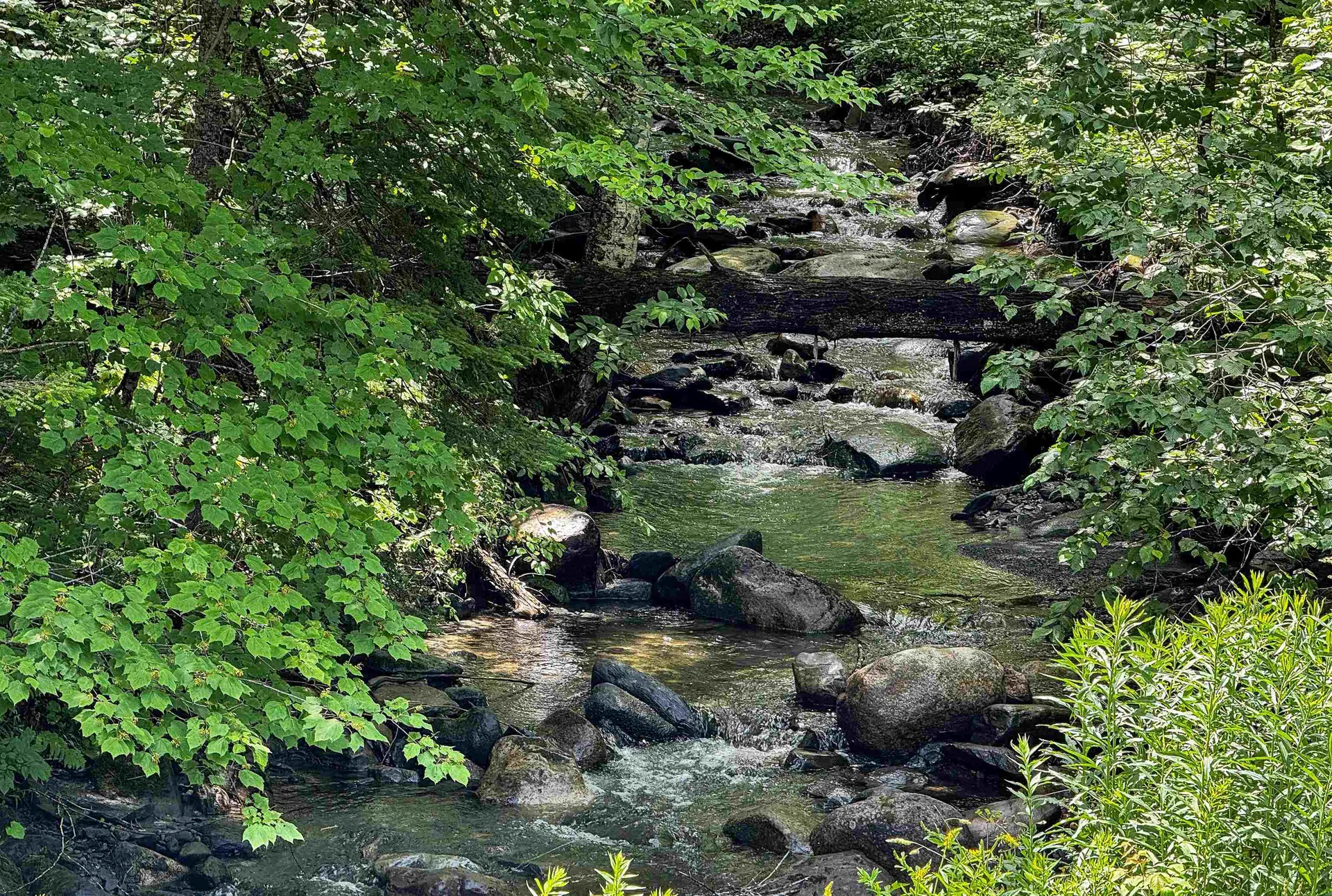 3737 Mcdowell Road Danville VT 05828