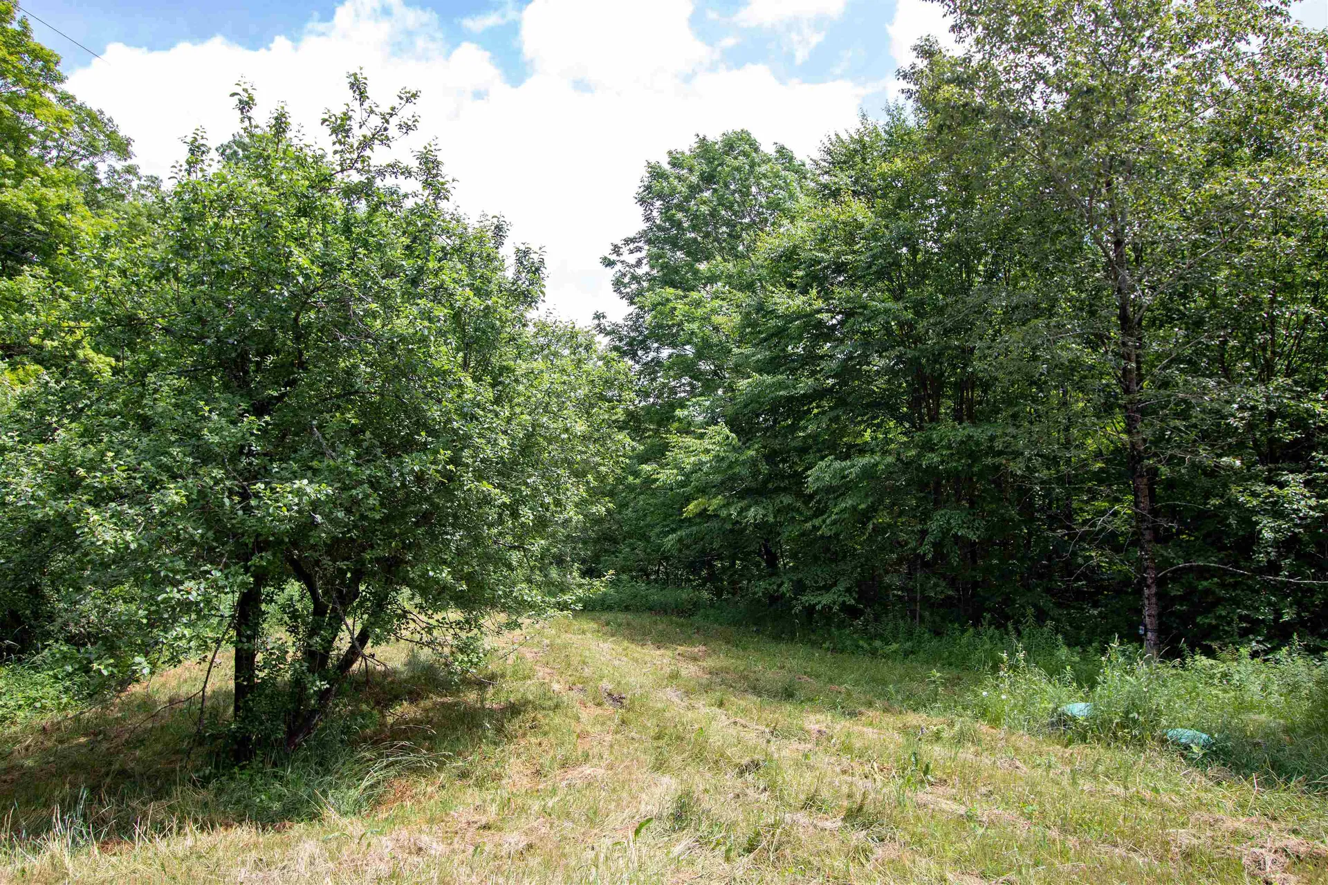3737 Mcdowell Road Danville VT 05828