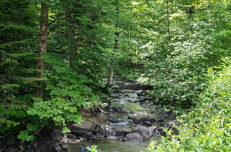 3737 Mcdowell Road Danville VT 05828