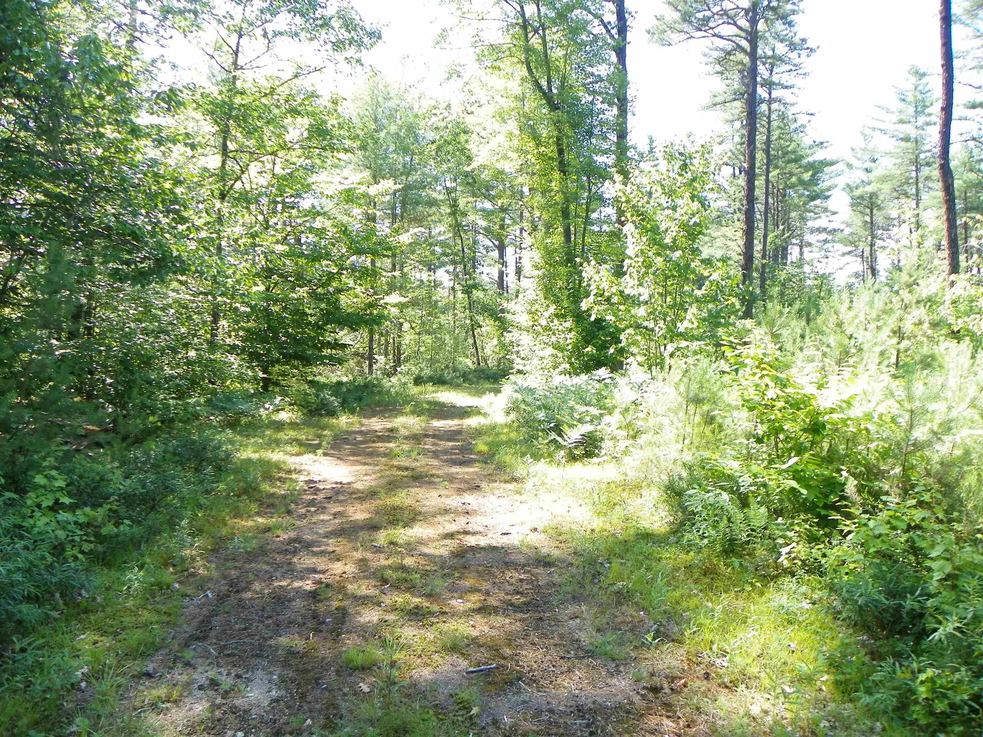 109 Clough Road Effingham NH 03882