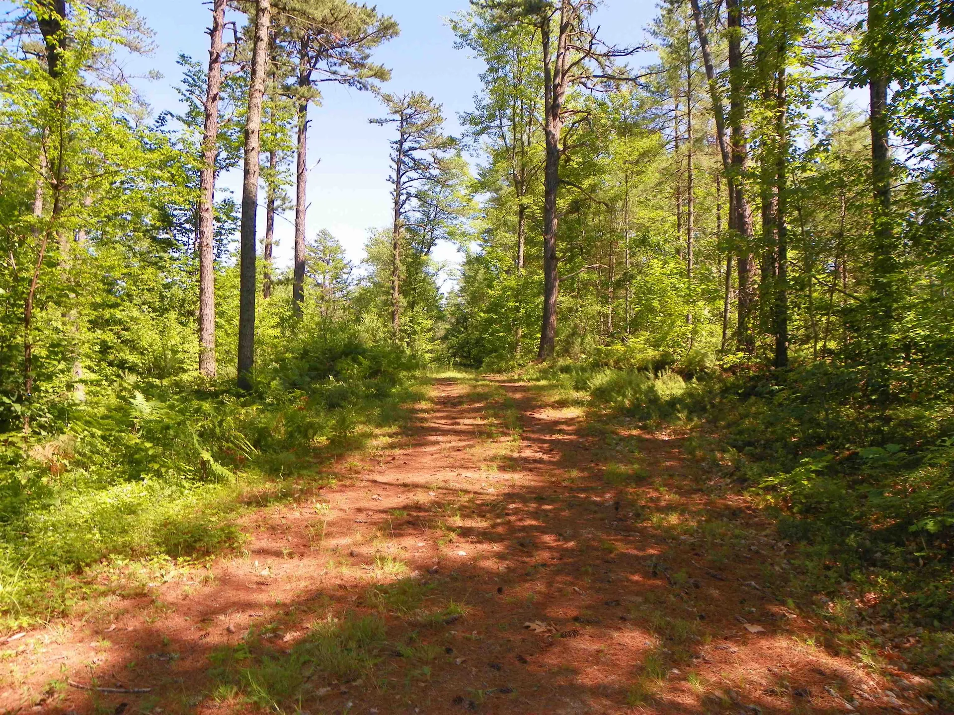 109 Clough Road Effingham NH 03882