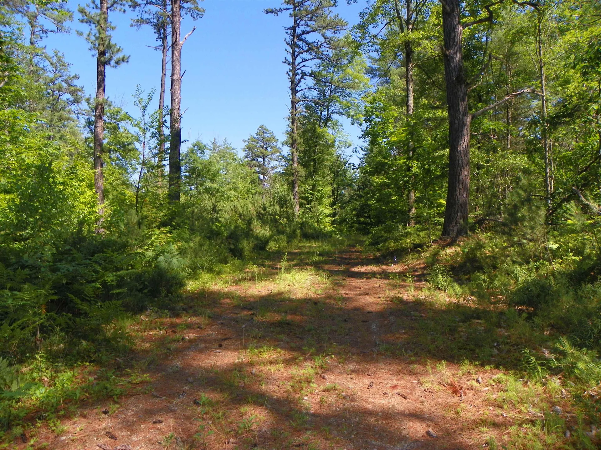 109 Clough Road Effingham NH 03882