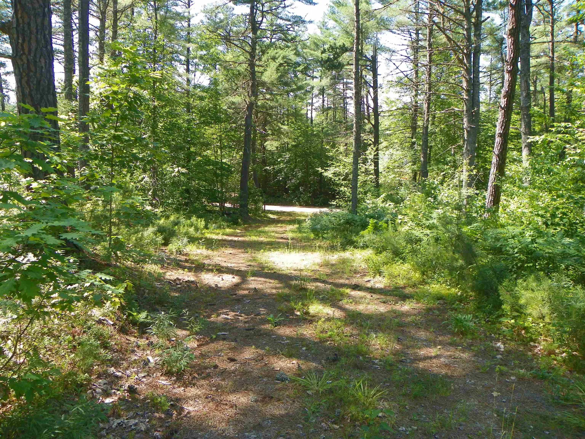 109 Clough Road Effingham NH 03882