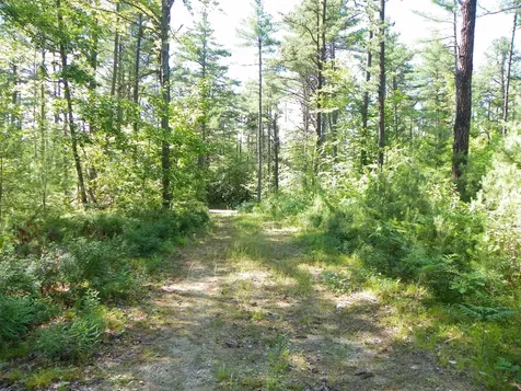 109 Clough Road Effingham NH 03882