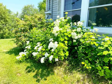 9 Buick Street Barre Town VT 05641