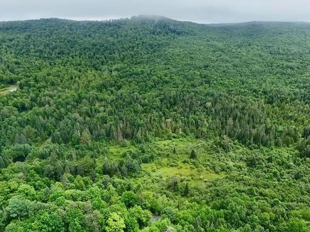 796 New Duck Pond Road Sheffield VT 05866