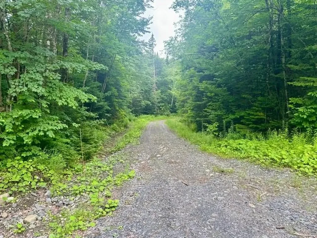 796 New Duck Pond Road Sheffield VT 05866