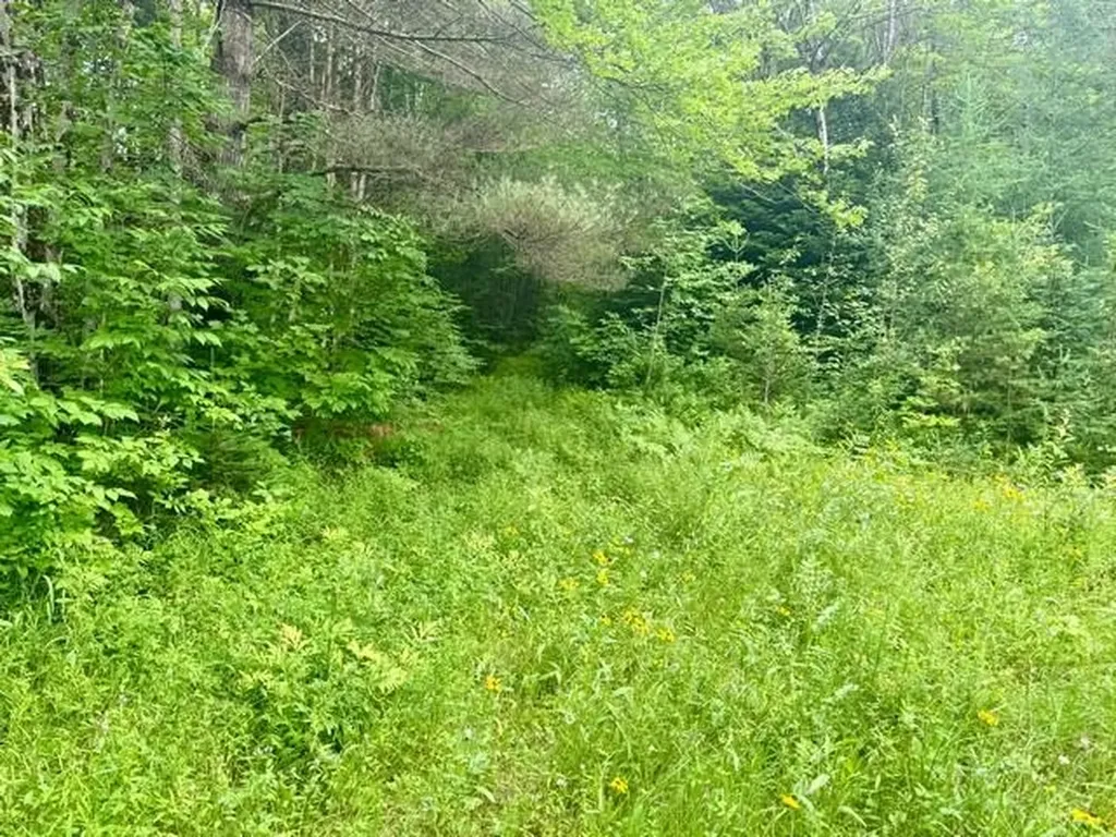 796 New Duck Pond Road Sheffield VT 05866