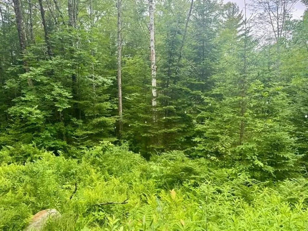 796 New Duck Pond Road Sheffield VT 05866