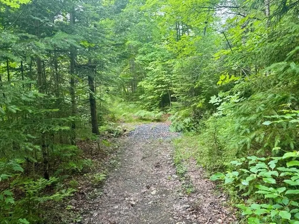 796 New Duck Pond Road Sheffield VT 05866