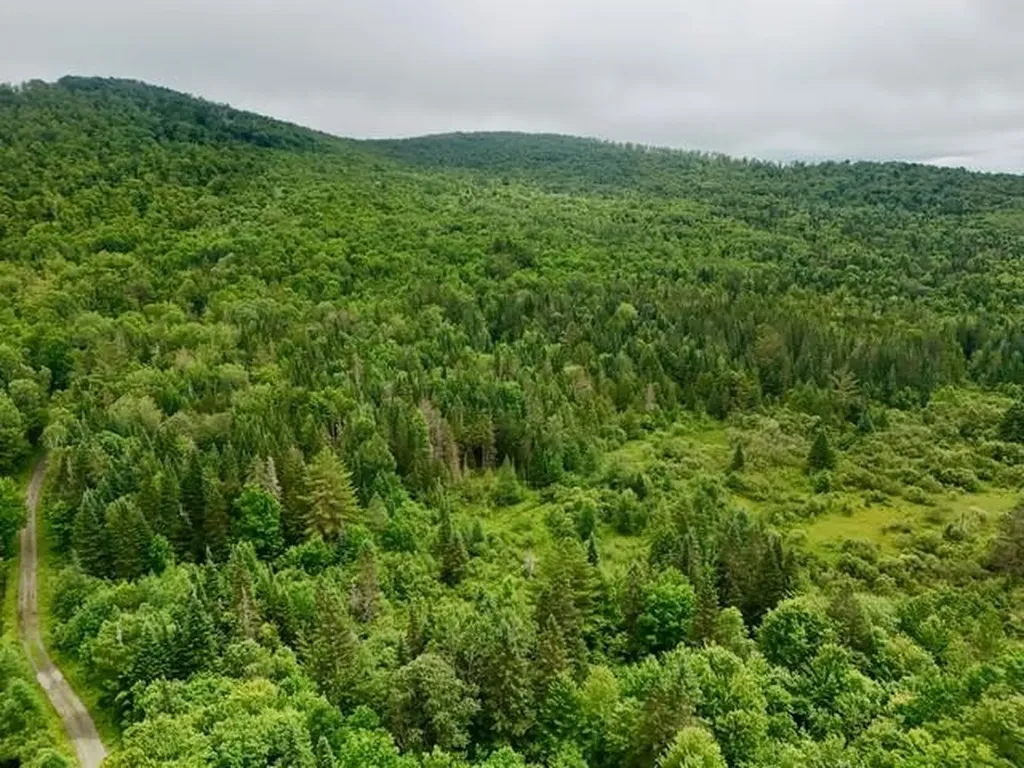 796 New Duck Pond Road Sheffield VT 05866