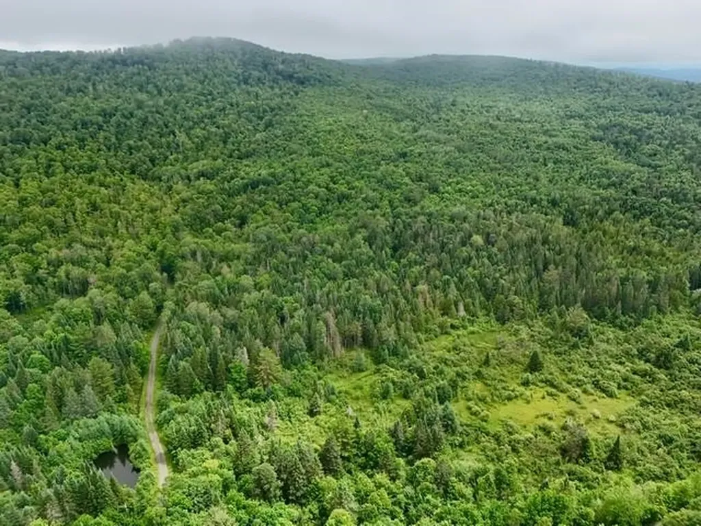 796 New Duck Pond Road Sheffield VT 05866