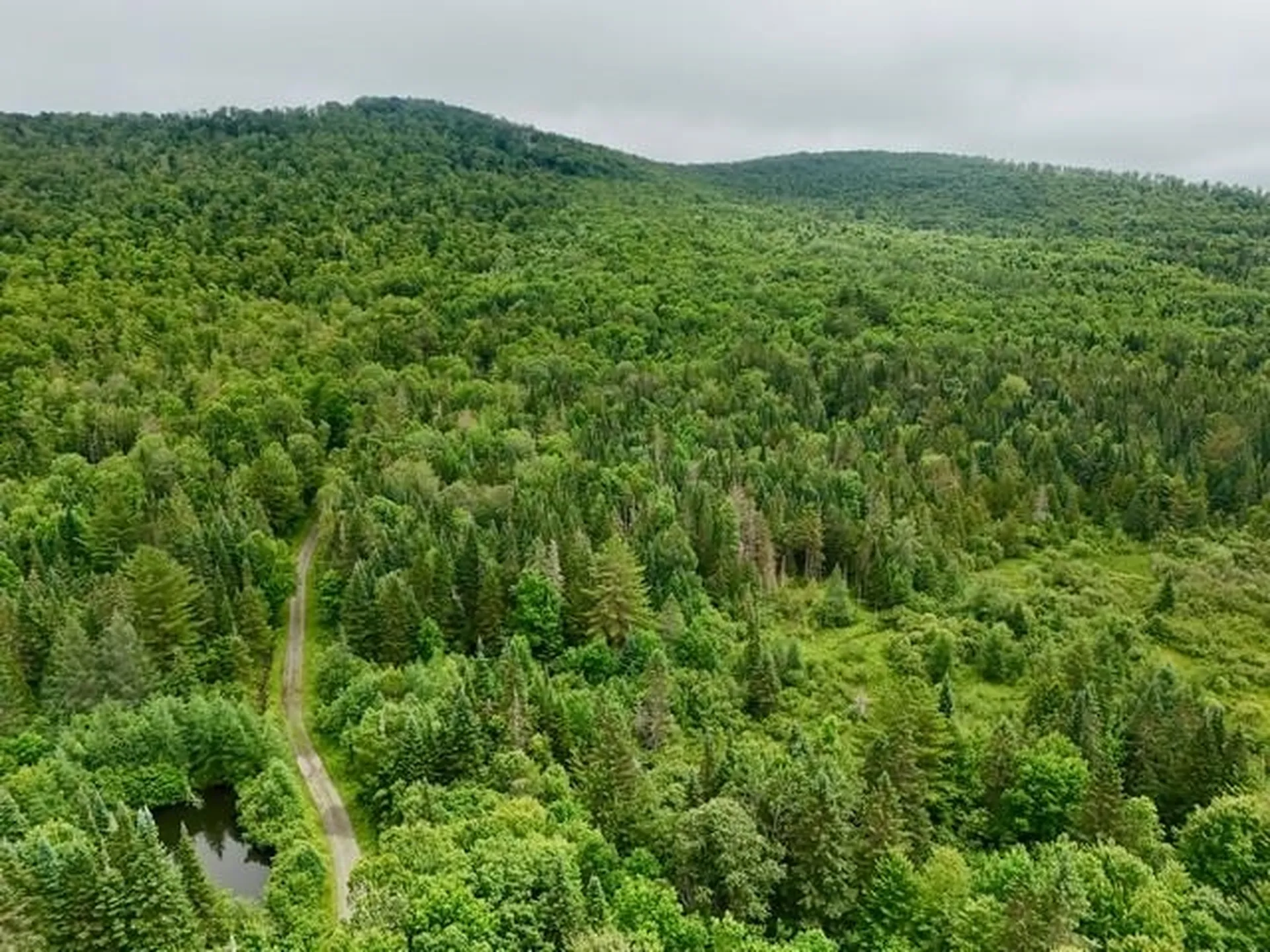 796 New Duck Pond Road Sheffield VT 05866