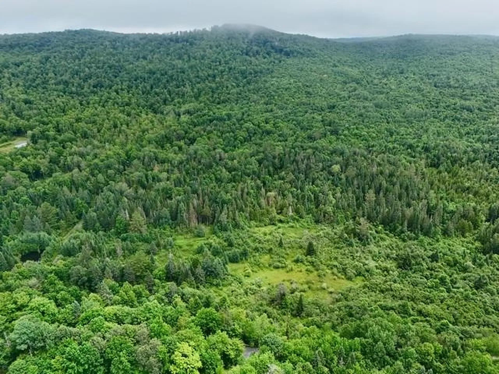 796 New Duck Pond Road Sheffield VT 05866