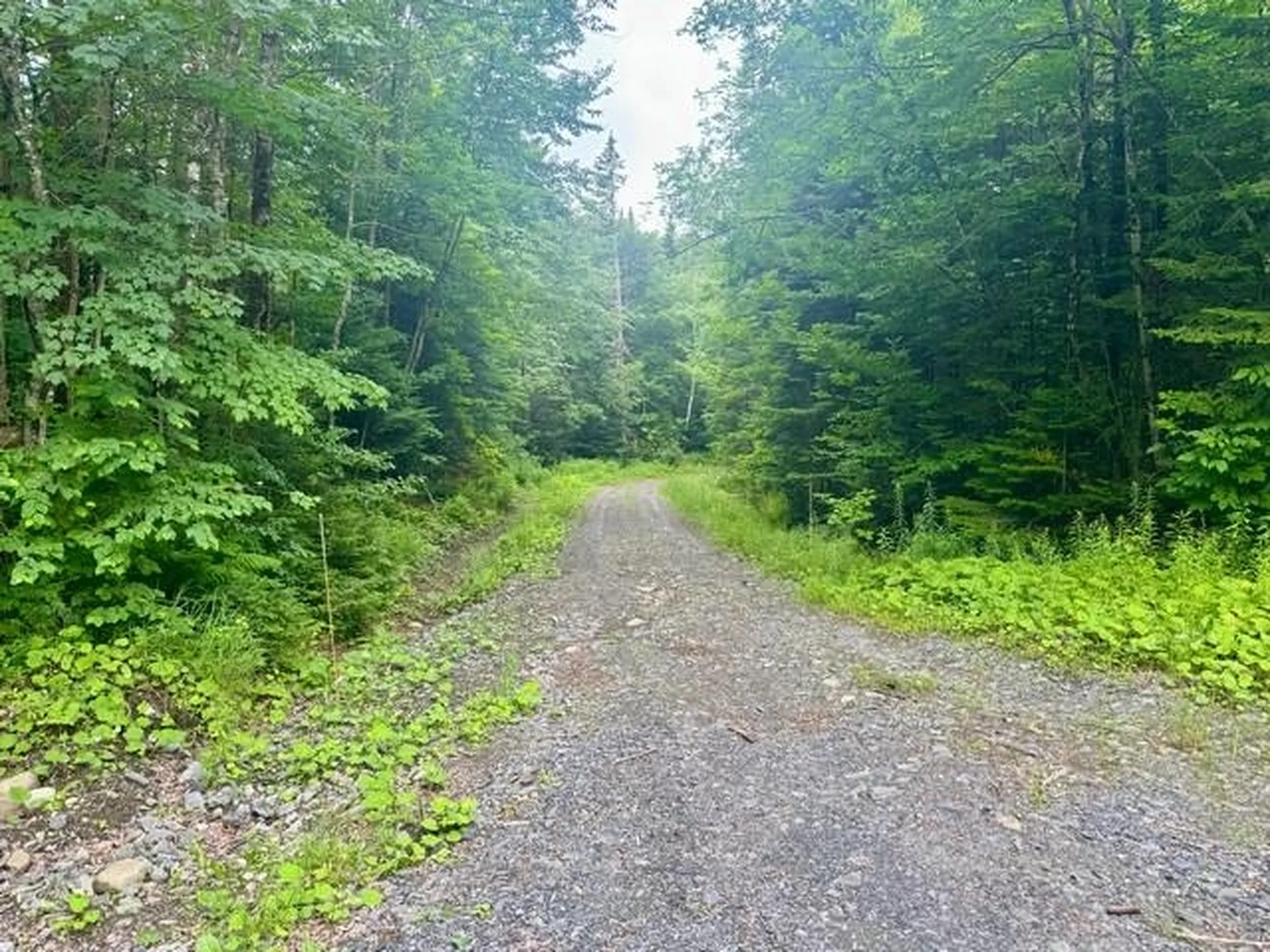 796 New Duck Pond Road Sheffield VT 05866