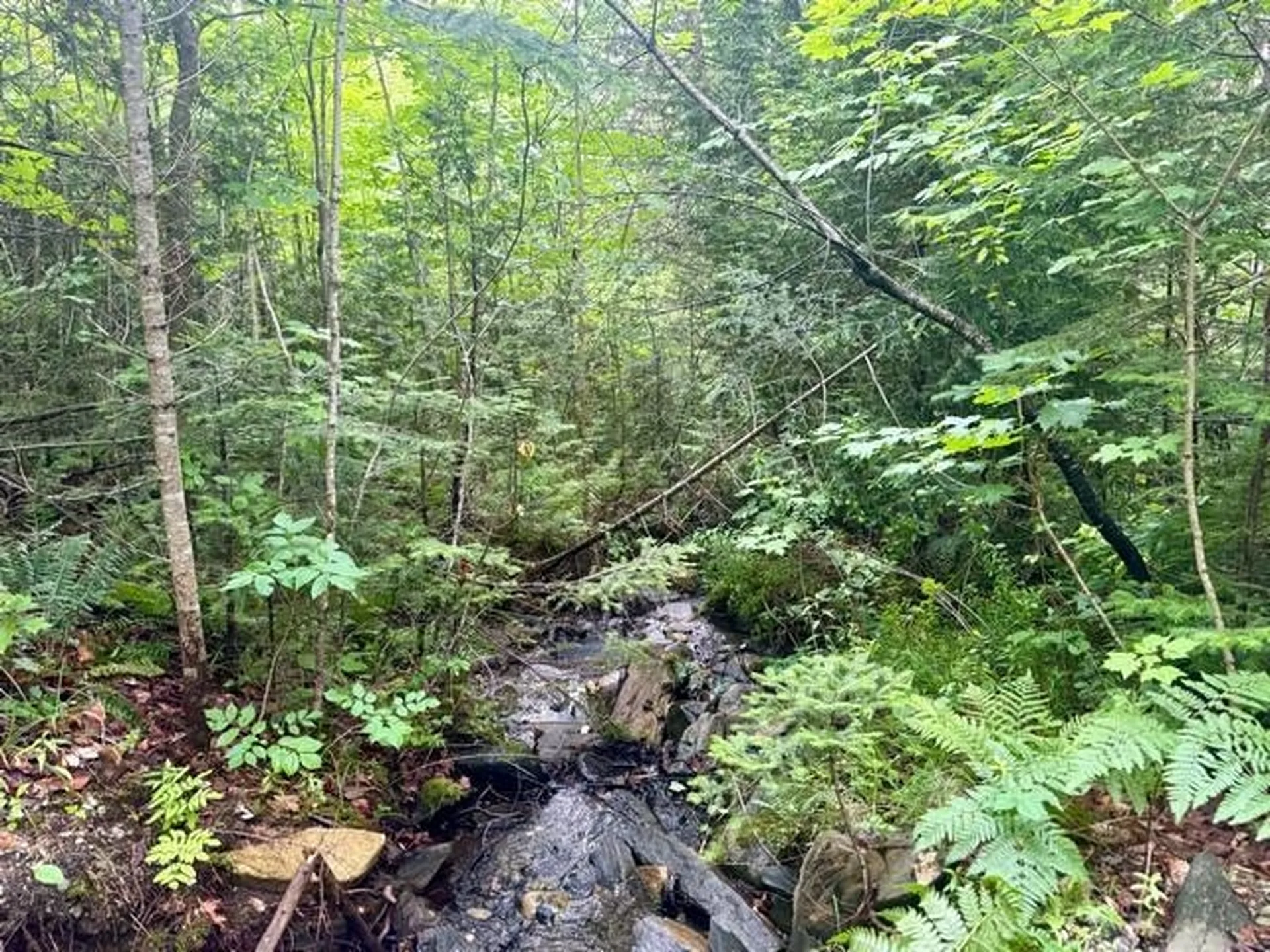 796 New Duck Pond Road Sheffield VT 05866