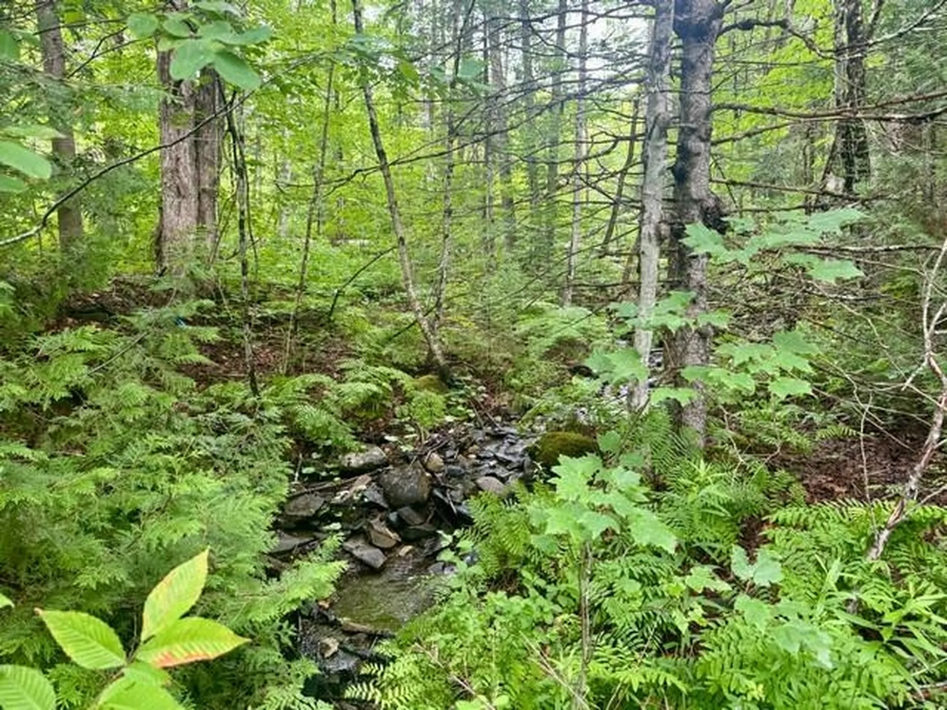 796 New Duck Pond Road Sheffield VT 05866