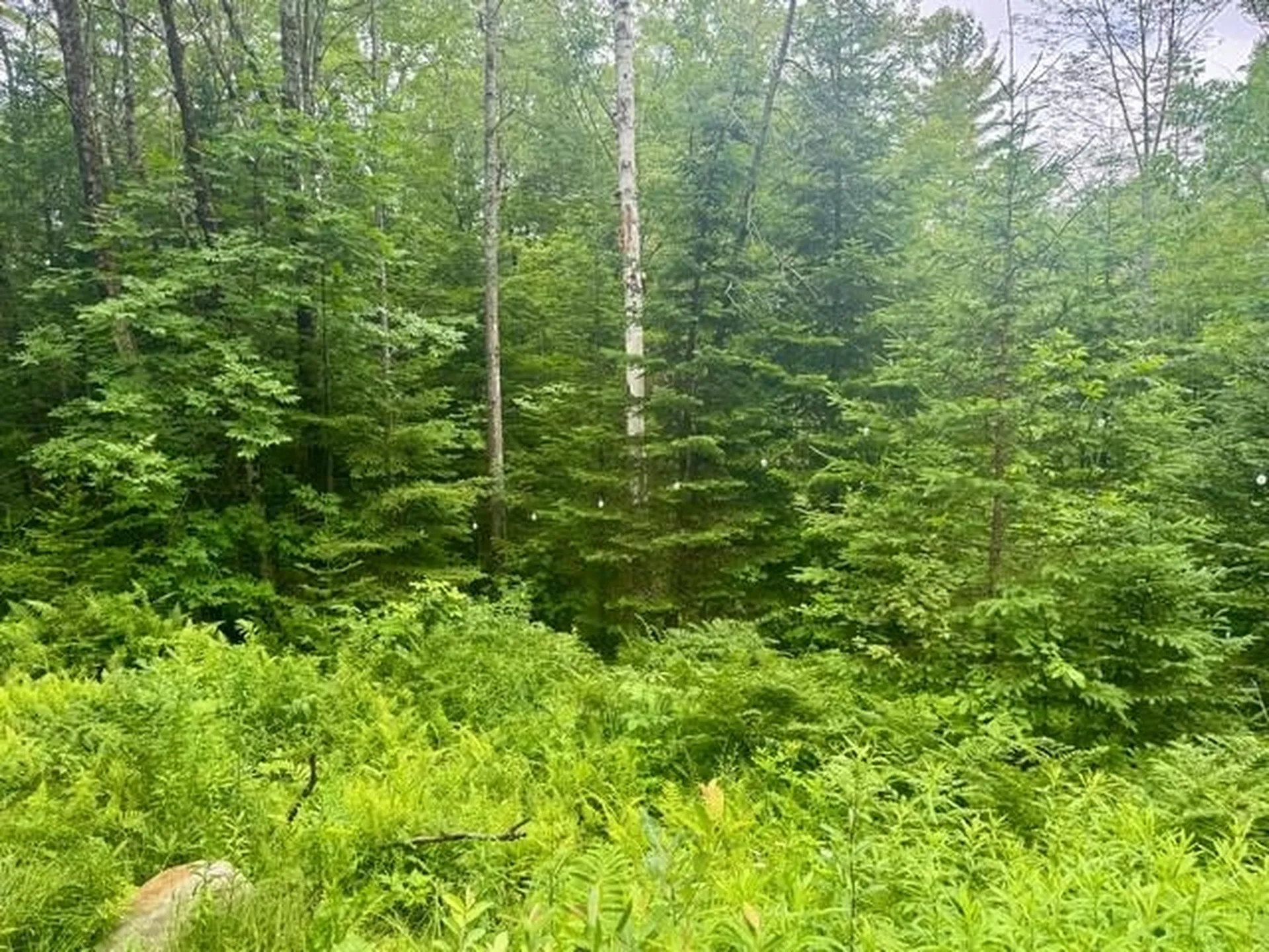 796 New Duck Pond Road Sheffield VT 05866