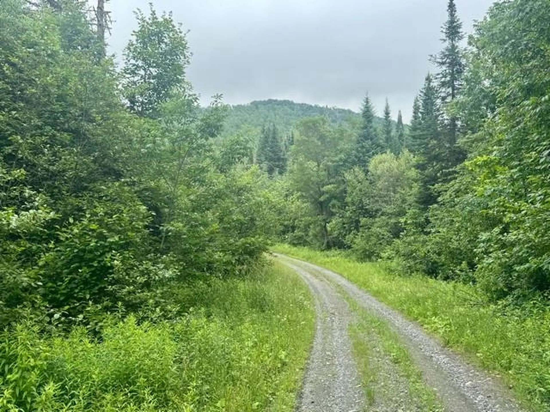 796 New Duck Pond Road Sheffield VT 05866