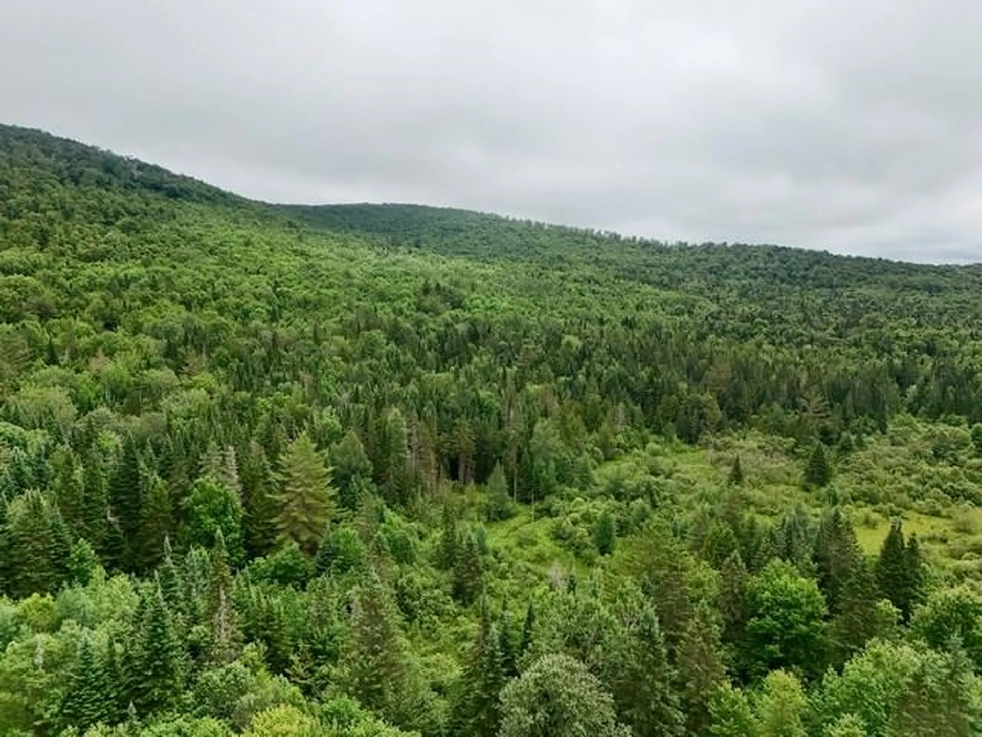 796 New Duck Pond Road Sheffield VT 05866