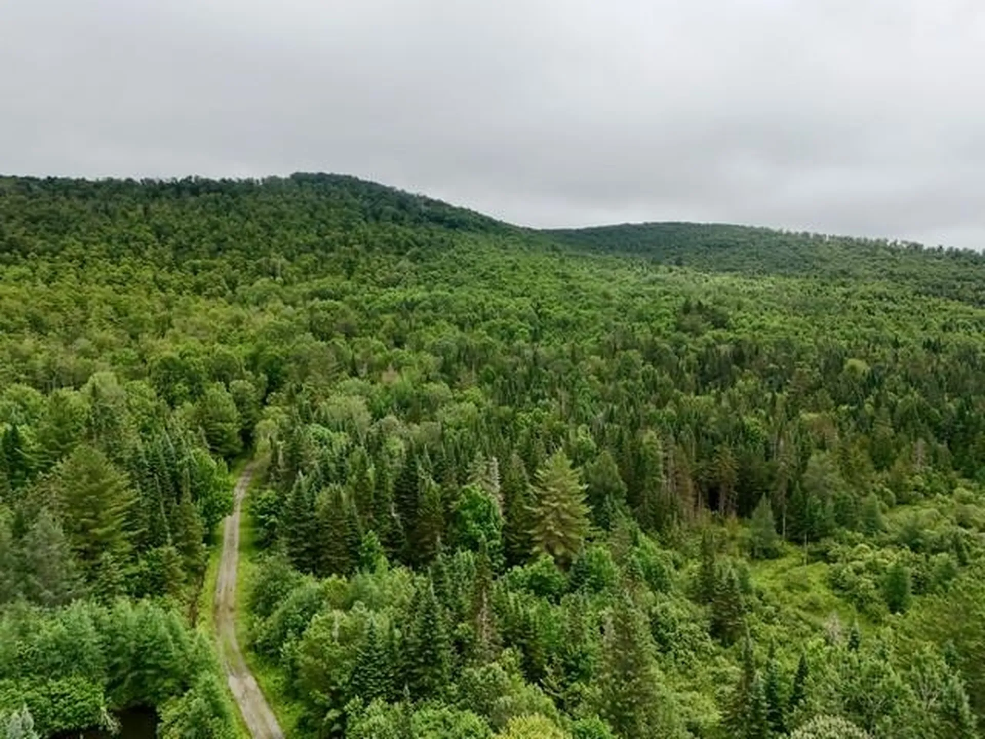 796 New Duck Pond Road Sheffield VT 05866