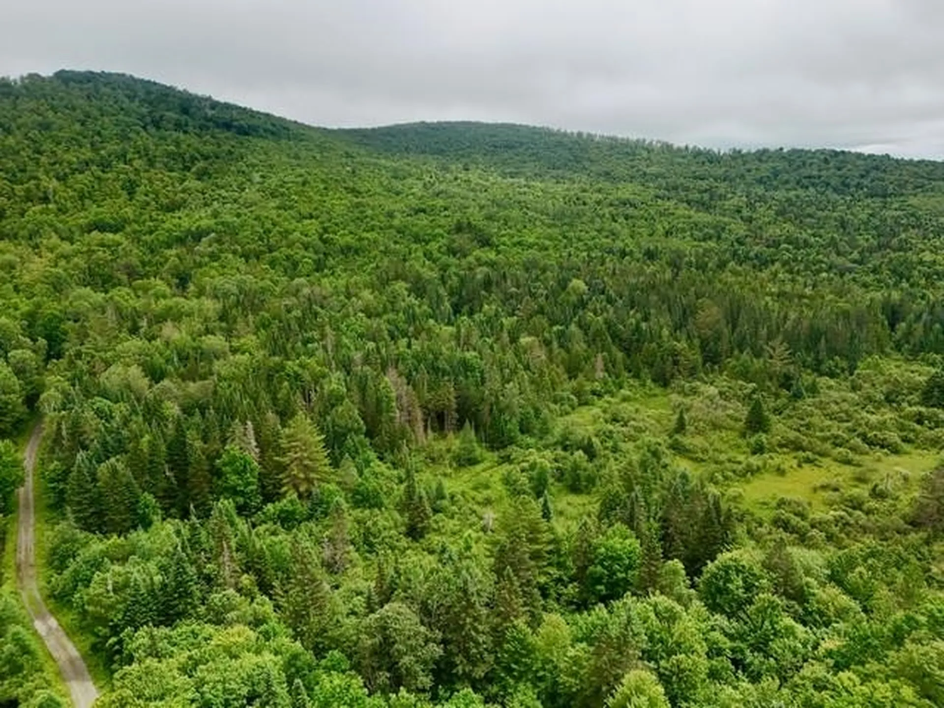 796 New Duck Pond Road Sheffield VT 05866