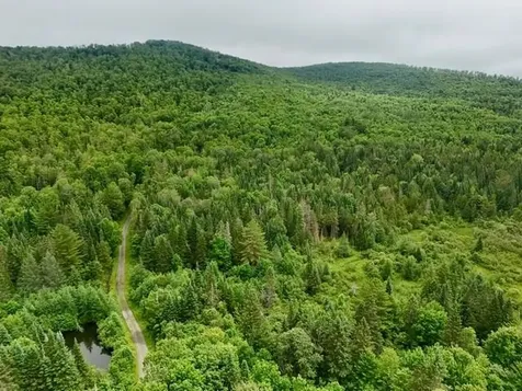 796 New Duck Pond Road Sheffield VT 05866