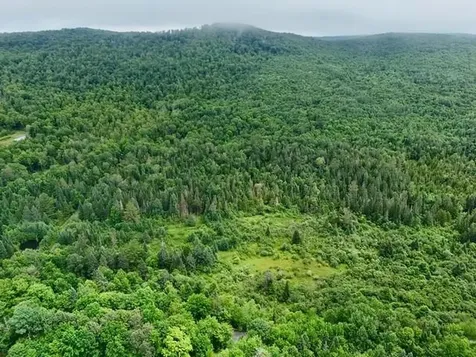 796 New Duck Pond Road Sheffield VT 05866