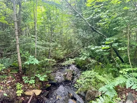 796 New Duck Pond Road Sheffield VT 05866