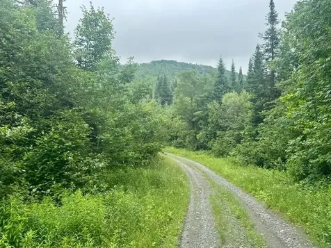 796 New Duck Pond Road Sheffield VT 05866