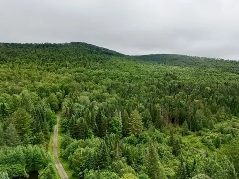 796 New Duck Pond Road Sheffield VT 05866