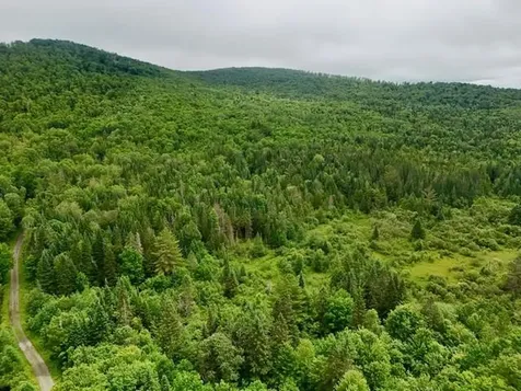 796 New Duck Pond Road Sheffield VT 05866