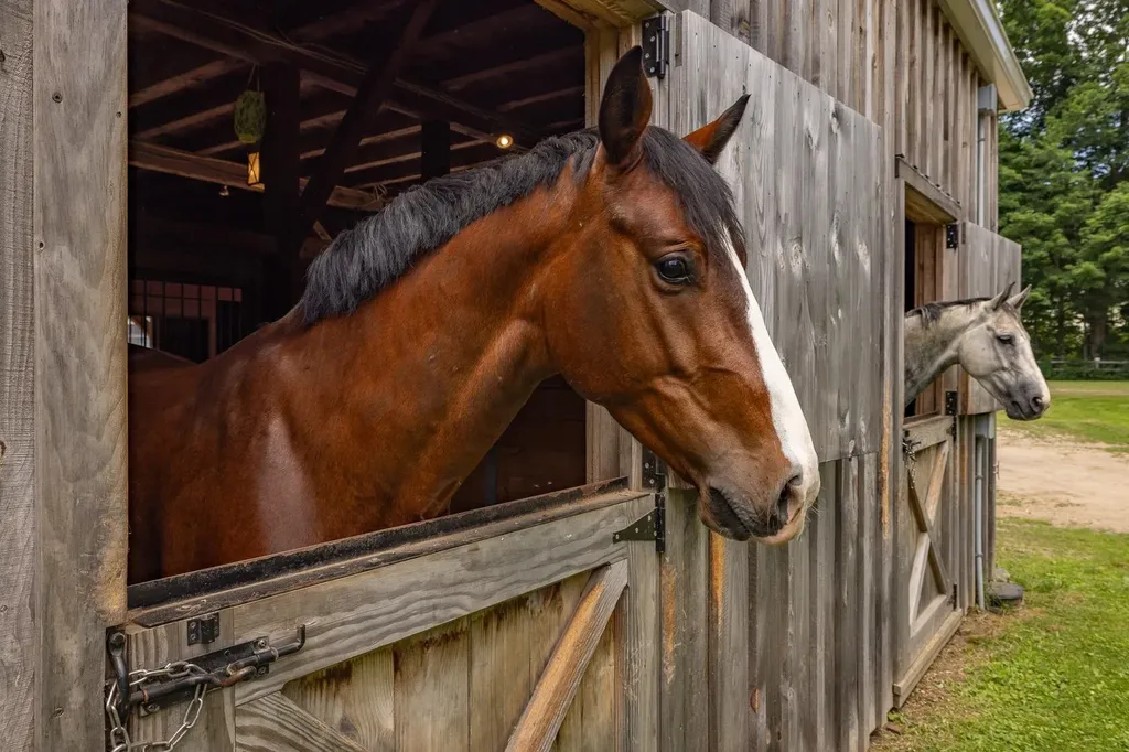 298 Exeter Road Hampton Falls NH 03844