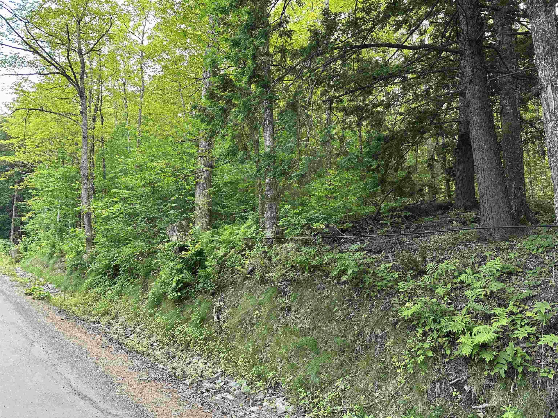 Goulden Ridge Road Weathersfield VT 05030