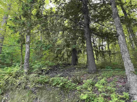 Goulden Ridge Road Weathersfield VT 05151